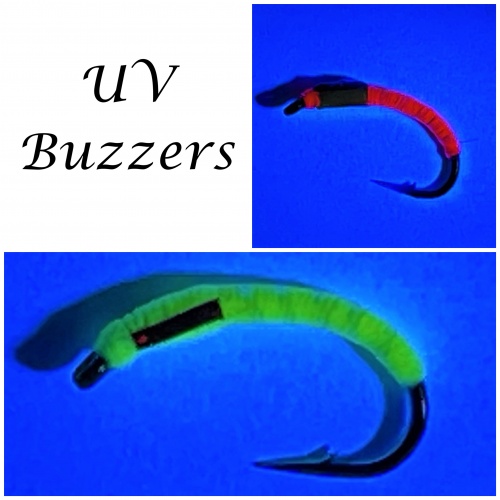 UV Buzzers